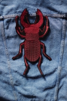MioUnico 03 11.JPG